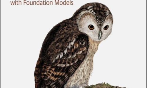 AI Engineering - Building Applications with Foundation Models - Chip Huyen - 2025