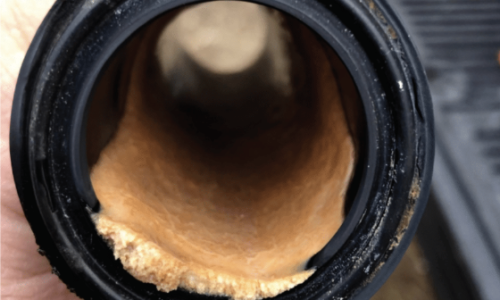 biofilme em tubulação sanitária